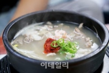남도의 가을은 푸르다...단풍 대신 녹음 품은 가을산행