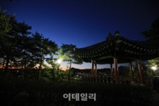 2014 만추, 서울의 밤빛에 취하다