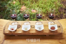 와인의 신대륙 호주로 떠나는 와이너리 투어