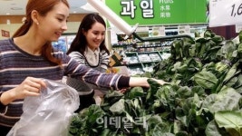 [포토]롯데마트, 올해 수확한 경기 시금치 출하-1