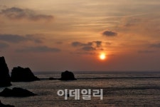 다사다난 2014 배웅해…의기羊羊한 2015 약속해