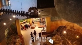 [아이가 좋아하는 그곳?]서대문 자연사 박물관