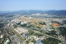 님도 보고 땅도 보고…일석이조 귀성길