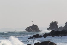 해안절경 품고 쪽빛바다 지나 거친계곡으로…경북 울진