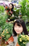 [포토]롯데마트, 원예대전-1