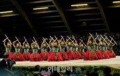 하와이 전통 춤 훌라의 모든 것