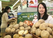 [포토]농협유통, 춘향의 고장 남원 햇감자 첫 출하