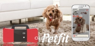 SKT, 애견용 웨어러블 `펫핏` 출시