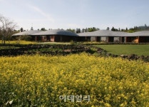 제주도 포도호텔, 태교여행 패키지 