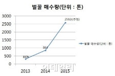 허니 열풍에 들썩이는 국내양봉산업