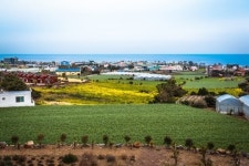 서귀포펜션 이로제주서 제주의 봄 200% 즐긴다