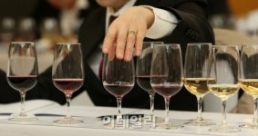 [포토]소믈리에 블라인드 테이스팅