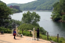 [e주말] 쪽동백 융단 밟고 족도리풀 눈맞추는 꽃길