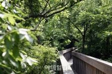 [e주말] 선운산 숲길에서 숨은 꽃을 만나다