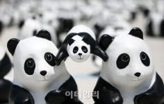 [포토]인천 점령한 판다!