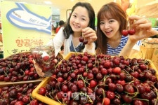 [포토]롯데마트, 워싱턴 빙체리 판매