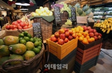 [르포]깐깐한 목동 엄마 잡는다..SSG푸드마켓 목동점 오픈