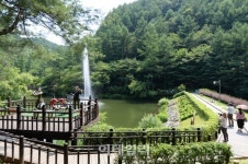 [e주말] 무더위는 가라 숲이 말하네 만인산