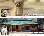 삼시세끼 페북 프로필 사진, 왜 밍키와 산체 얼굴일까