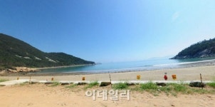 신안면 박우식 고가 | [양기자의 쏙쏙경매]16만원에 응찰 가능한 '섬마을' 땅
