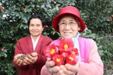 청정 제주 잡아라 화장품업계, 열띤 경쟁