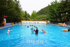 깊은 숲속 비밀의 수영장 금원수목원 수영장
