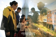 [e한가위] 해발 700m 숲의 하룻밤…태백 가을여행