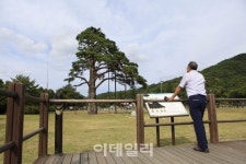 [e주말]대추처럼 달콤한 충북알프스 가을 여행
