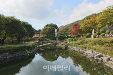 [여행] 농익은 가을은 비단이다…충북 제천