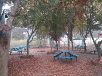 천안휴게소, 가을 정취 만끽할 수 있는 테마공원 조성해 인기