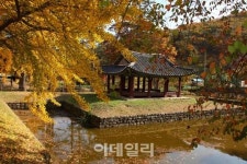 [e주말] 가을은 짧지만 여운은 길다, 남한산성①