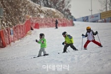 오크밸리, 내달 2일 스키장 개장...안전과 내용에 초점