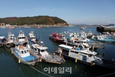 [e주말] 바다의 인삼 '굴의 유혹' 충남 보령