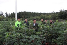 中 완슝그룹, 디지탈옵틱 제주 ‘황칠농장’ 방문