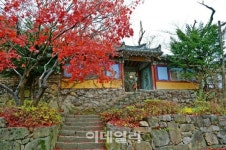 [여행] 겨울의 木소리…이 길이 명품이로세