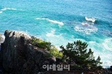 [e주말] 시리디 시린 겨울바다…그 이름 블루로드
