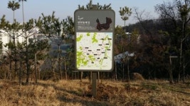 [동네방네]지양산~매봉산~신정산 양천 둘레길 7.2km 완료