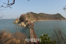 [포토] 해안을 끼고 바다를 음미하며 걷는 대부해솔길
