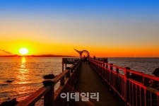 [포토] 해안을 끼고 바다를 음미하며 걷는 대부해솔길