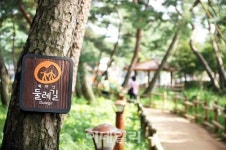 [포토] 걷기 좋은 소나무 숲길 북한산둘레길 1코스