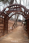 [포토] 걷기 좋은 소나무 숲길 북한산둘레길 1코스
