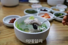 [여행] 우린 진해로 간다, 35만그루 벚꽃비 맞으러