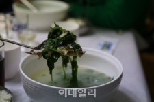 [여행] 우린 진해로 간다, 35만그루 벚꽃비 맞으러