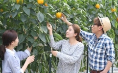 [포토]대형마트서 파프리카 나눠주는 가수 윤종신