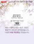 [카드뉴스] 봄 향기 가득 `벚꽃 에디션` <2탄 화장품편>