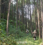 봄철 향락객 피해 농촌체험 해볼까?..산림청 추천 산촌마을 5곳