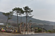 봄철 향락객 피해 농촌체험 해볼까?..산림청 추천 산촌마을 5곳