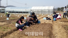 서울의 다둥이·다문화·실버가족 위한 도시농장 개장