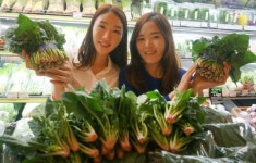 [포토]현대百, 프리미엄 농산물 브랜드 약속농장 출시