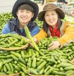 [포토]미니오이 봄 철 야외활동에 딱